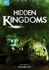 【高清剧集网发布 】隐秘王国[全3集][中文字幕] Hidden Kingdoms S01 2014 1080p WEB-DL H264 AAC-LelveTV