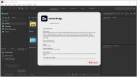 Adobe Bridge 2024 v14.1.1.274 (x64) Multilingual Pre-Activated