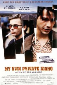 My Own Private Idaho 1991 Criterion 1080p BluRay HEVC x265 5 1 BONE