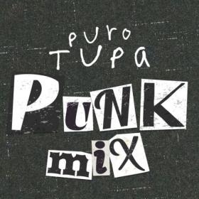 Various Artists - Puro Tupa  Punk Mix (2024) Mp3 320kbps [PMEDIA] ⭐️