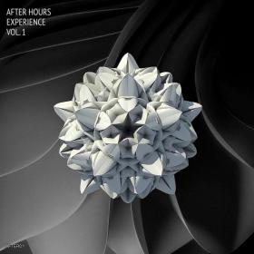 Various Artists - After Hours Experience Vol 1 (2024) Mp3 320kbps [PMEDIA] ⭐️