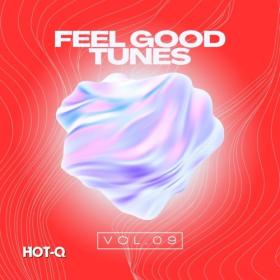 VA - Feel Good Tunes 009 (2024) Mp3 320kbps [PMEDIA] ⭐️