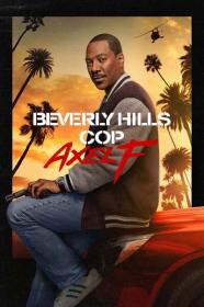 Beverly Hills Cop Axel F 2024 1080p NF WEBRip 1400MB DD 5.1 x264-GalaxyRG[TGx]