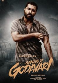 Gangs Of Godvari (2024) Hindi  1080p WEB-DL -2.1GB - DDP 5.1 AVC x264 ESub -SHADOW [ProtonMovies]