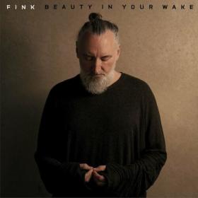 Fink - Beauty In Your Wake (2024) Mp3 320kbps [PMEDIA] ⭐️