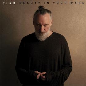 Fink - Beauty In Your Wake (2024) [24Bit-48kHz] FLAC [PMEDIA] ⭐️