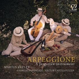 Martin Zeller - Arpeggione - A Forgotten Instrument (2024) [24Bit-96kHz] FLAC [PMEDIA] ⭐️