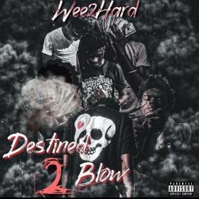 Wee2Hard - Destined 2 Blow (2021) Mp3 320kbps [PMEDIA] ⭐️