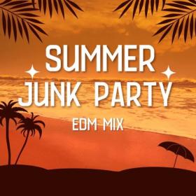 Various Artists - Summer Junk Party EDM Mix (2024) Mp3 320kbps [PMEDIA] ⭐️