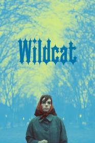 Wildcat 2024 1080p AMZN WEBRip 1400MB DD2.0 x264-GalaxyRG[TGx]