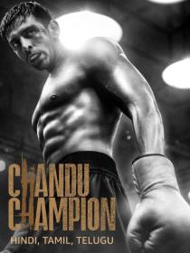 Chandu Champion (2024) Hindi 720p AMZN WEB-DL DDP 5.1 x265 HEVC ESub -PrimeFix [ProtonMovies]