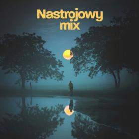 Various Artists - Nastrojowy mix (2024) Mp3 320kbps [PMEDIA] ⭐️