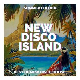 VA - New Disco Island (2024) Mp3 320kbps [PMEDIA] ⭐️