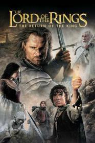 The Lord of the Rings The Return of the King 2003 EXTENDED 1080p BluRay DDP5.1 x265 10bit-GalaxyRG265[TGx]