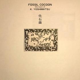 K  Yoshimatsu - Fossil Cocoon The Music of K  Yoshimatsu (2024) [24Bit-48kHz] FLAC [PMEDIA] ⭐️