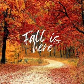 Various Artists - fall is here (2024) Mp3 320kbps [PMEDIA] ⭐️