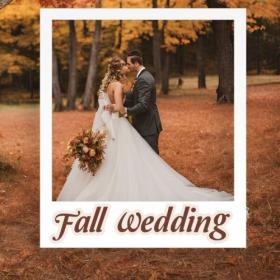 Various Artists - Fall Wedding (2024) Mp3 320kbps [PMEDIA] ⭐️