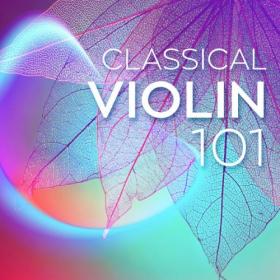 Various Artists - Classical Violin 101 (2024) Mp3 320kbps [PMEDIA] ⭐️