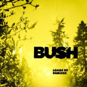 Bush - Loads Of Remixes (2024) [16Bit-44.1kHz] FLAC [PMEDIA] ⭐️