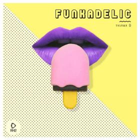 Various Artists - Funkadelic, Vol  8 - 2024 - FLAC 16BITS 44 1KHZ-EICHBAUM ⭐