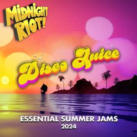 VA - Disco Juice (Essential Summer Jams 2024) (2024) Mp3 320kbps [PMEDIA] ⭐️