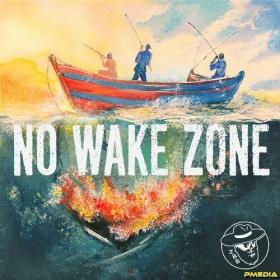 Zac Brown Band - No Wake Zone (2024) Mp3 320kbps [PMEDIA] ⭐️