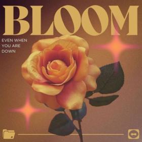 Various Artists - BLOOM EVEN WHEN YOU ARE DOWN (2024) Mp3 320kbps [PMEDIA] ⭐️