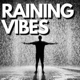 Various Artists - Raining Vibes (2024) Mp3 320kbps [PMEDIA] ⭐️