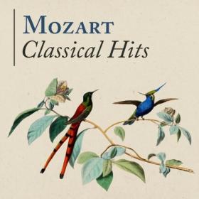 Various Artists - Mozart Classical Hits (2024) Mp3 320kbps [PMEDIA] ⭐️