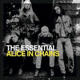 Alice In Chains - The Essential Alice In Chains (2006) [MP3 320] 88