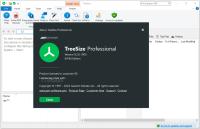 TreeSize Pro v9.2.0.1905 (x64) Multilingual Pre-Activated