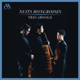 Trio Arnold - Nuits Hongroises (2024) [24Bit-96kHz] FLAC [PMEDIA] ⭐️