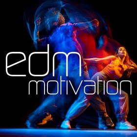 V A  - EDM Motivation (2024 Dance) [Flac 16-44]