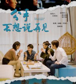 Break Up Without Saying Goodbye 2024 1080p Chinese HDRip HC H264 AAC