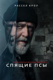 Black Eagle 1988 1080р BluRay Remux Райдэн