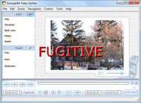 SolveigMM Video Splitter 3.5.1210.2 Multilanguage + Serial [FUGITIVE]