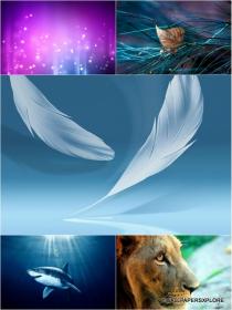 30 Window 7 Dreamy Unseen Desktop 3D HD Wallpapers