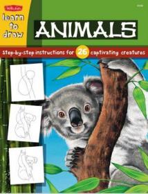 Draw & Color - Animals (gnv64)