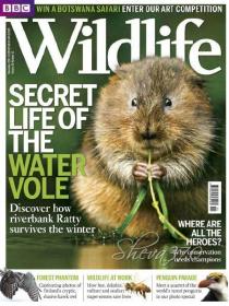 BBC Wildlife - Secret Life of The Water Vole (November 2012)