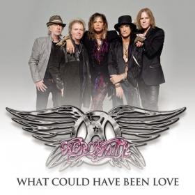 Aerosmith - What Could Have Been Love [2012]  (1080p) x264 [VX] [P2PDL]