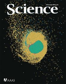 Science Magazine - November 23 2012