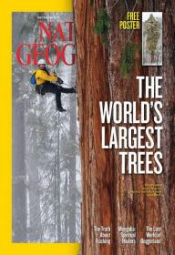 National Geographic USA - The Worlds Largest Trees (December 2012)