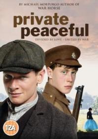 Private Peacefull (2012) DVDrip (xvid) NL Subs DMT