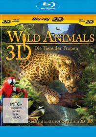 Wild Animals Life of the Jungle 2012 720p BluRay DTS x264-DON [PublicHD]