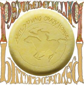 Neil Young With Crazy Horse Psychedelic Pill 2012 720p MBluRay x264-LOUNGE [PublicHD]