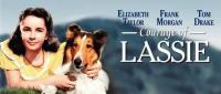 Il Coraggio Di Lassie (1946)