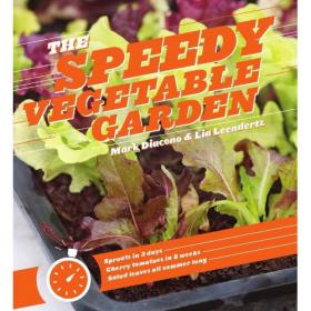 The Speedy Vegetable Garden 2013 -Mantesh