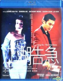 Jiang Hu The Triad Zone 2002 720p BluRay x264-SFT [PublicHD]