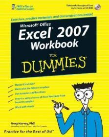 Excel Workbook for Dummies