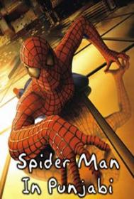 Spiderman Punjabi